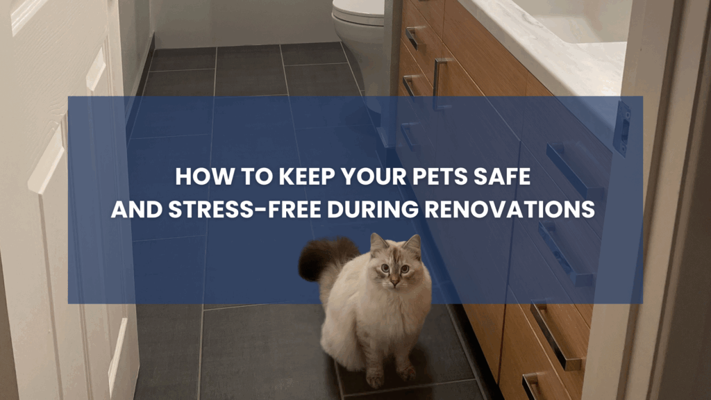 Pet-friendly remodel cover photo