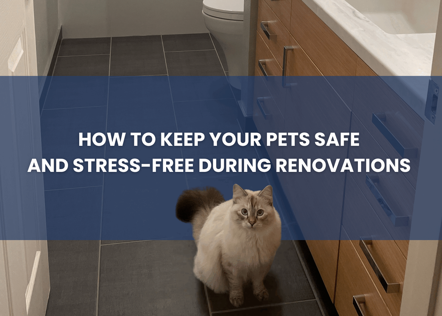 Pet-friendly remodel cover photo