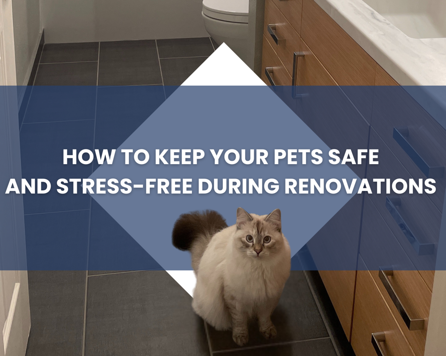 Cover of Pet-Friendly Remodeling: How to Keep Your Pets Safe and Stress-Free During Renovations