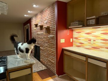 Client cat supervising job site