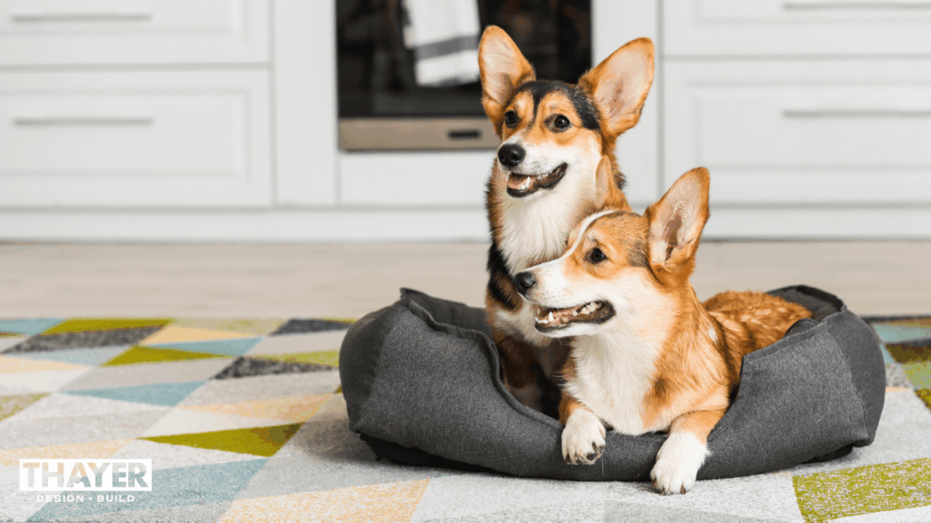 Dogs in remodeled home in Corvallis